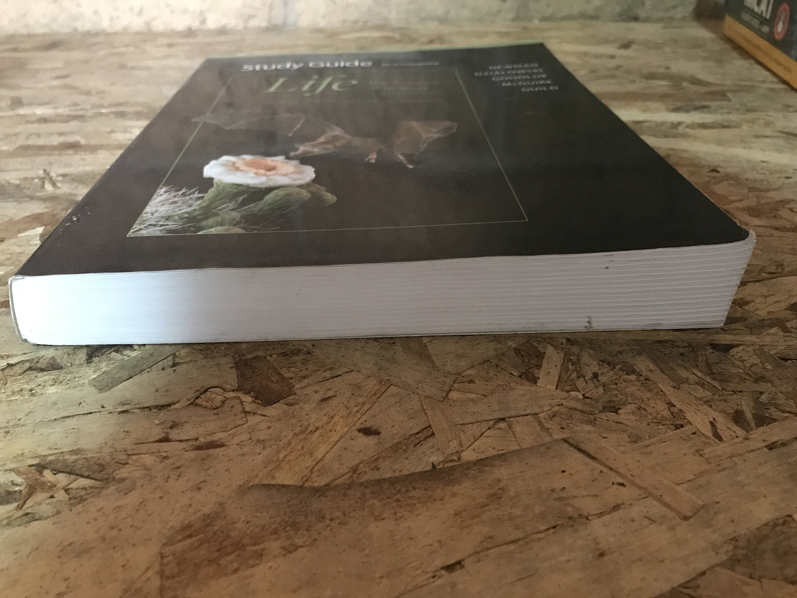 Study Guide to Accompany: Life, the Science of Biology, 9th Edition,Used