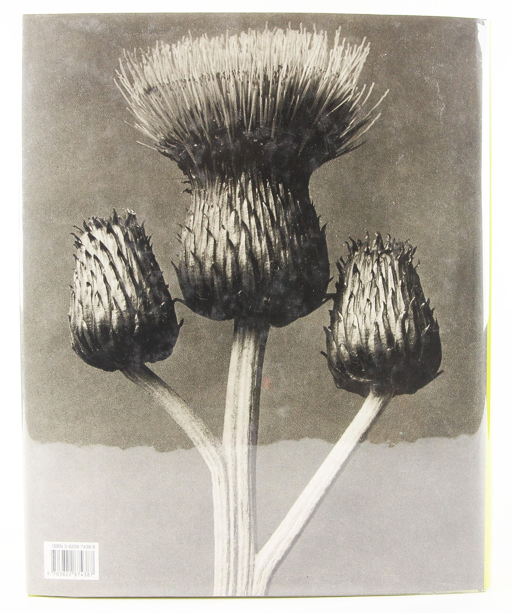 Karl Blossfeldt: 18651932,Used