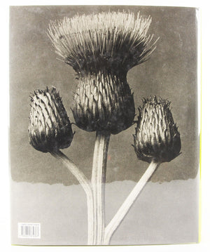 Karl Blossfeldt: 18651932,Used