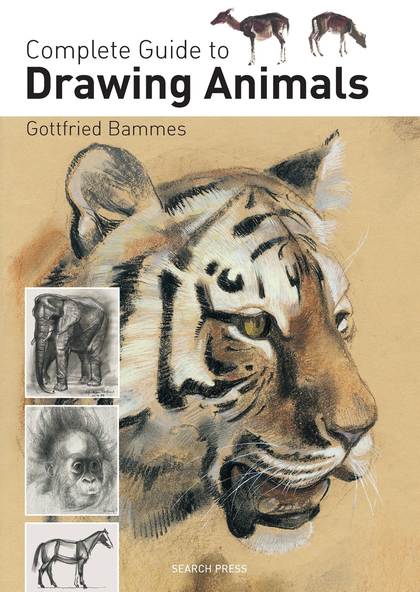 Complete Guide To Drawing Animals
