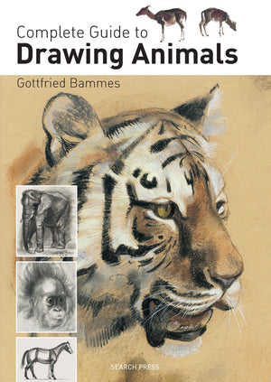 Complete Guide To Drawing Animals