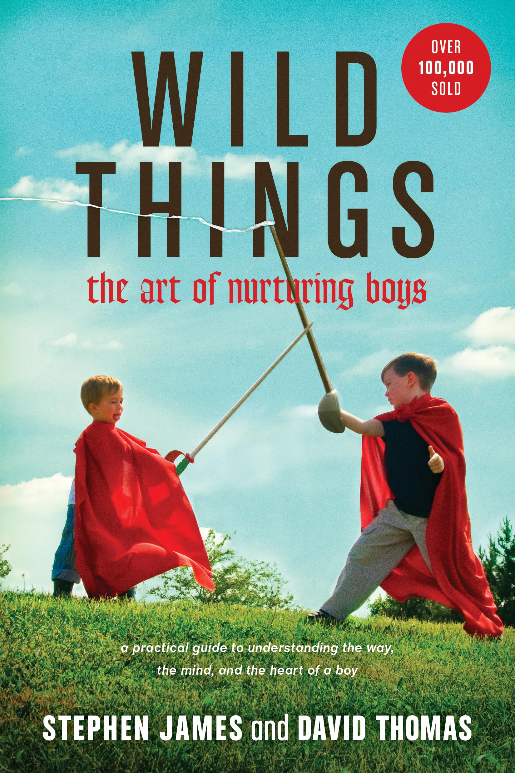 Wild Things: The Art Of Nurturing Boys (A Practical And Encouraging Guide To Christian Parenting)