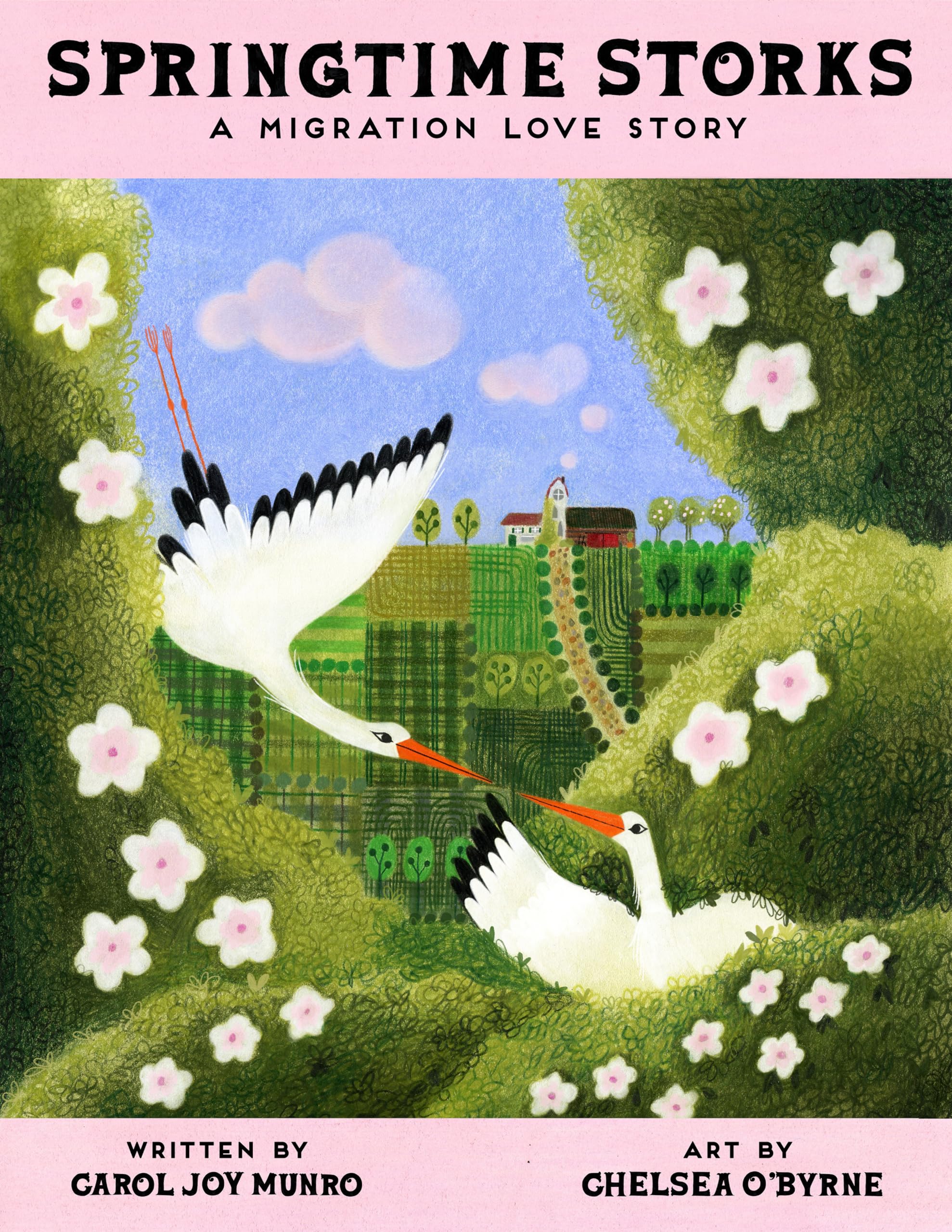 Springtime Storks: A Migration Love Story,New