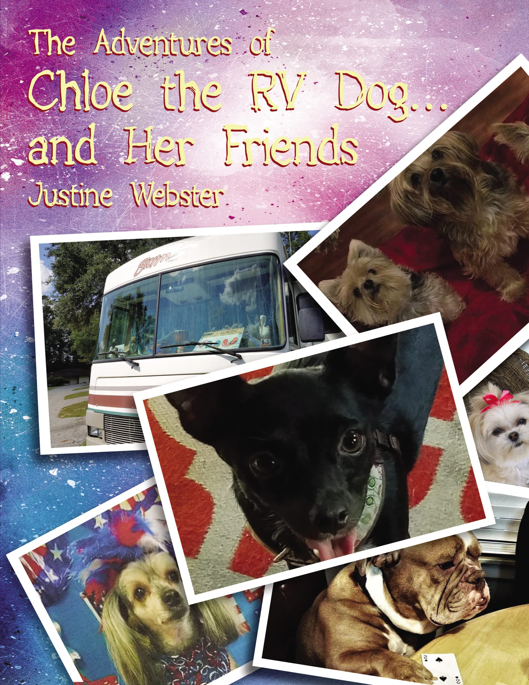 The Adventures of Chloe the RV Dog and Her Friends,Used