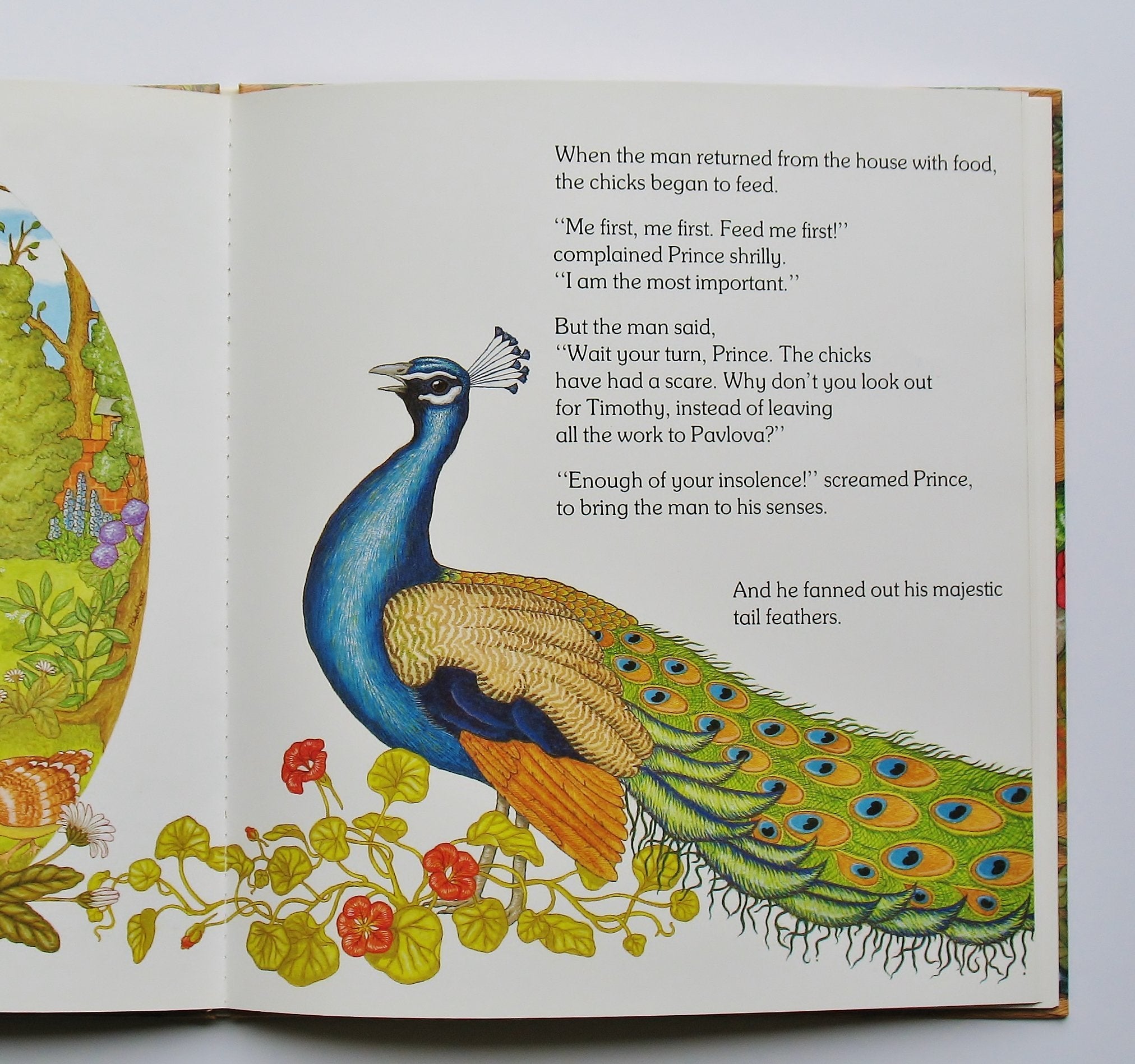 A Peacock on the Roof,New