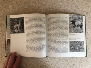 Antelopes (The World of animals),Used