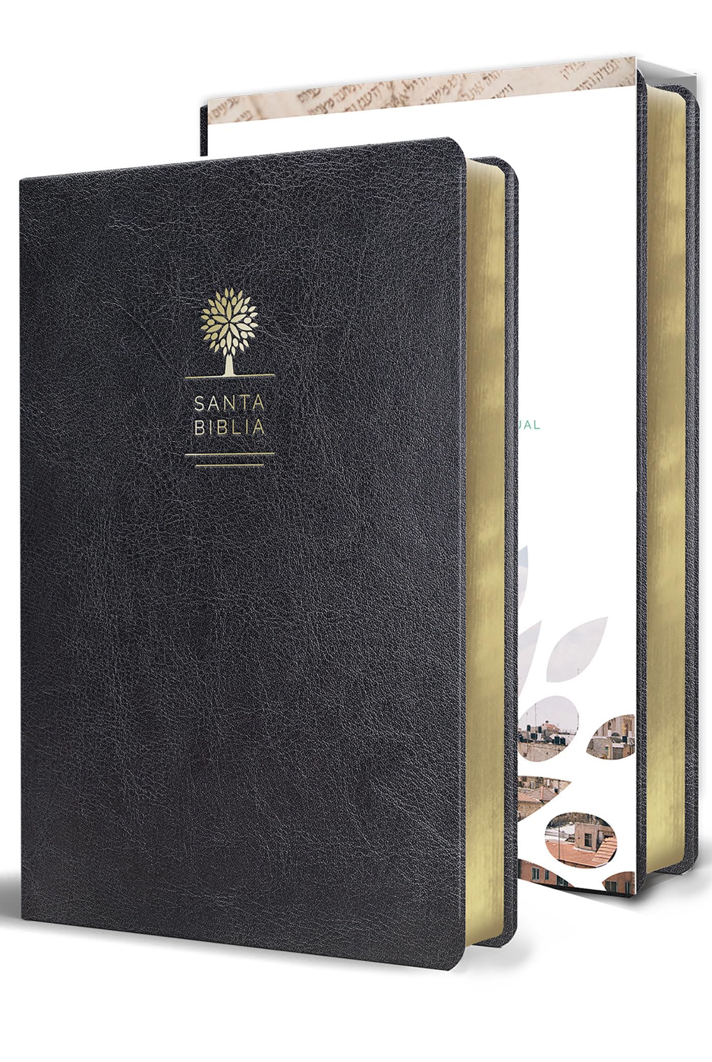 Biblia Reina Valera 1960 Letra Grande. Smil Piel Color Negro, Tamao Manual / Spanish Holy Bible Rvr 1960. Handy Size, Large Prin