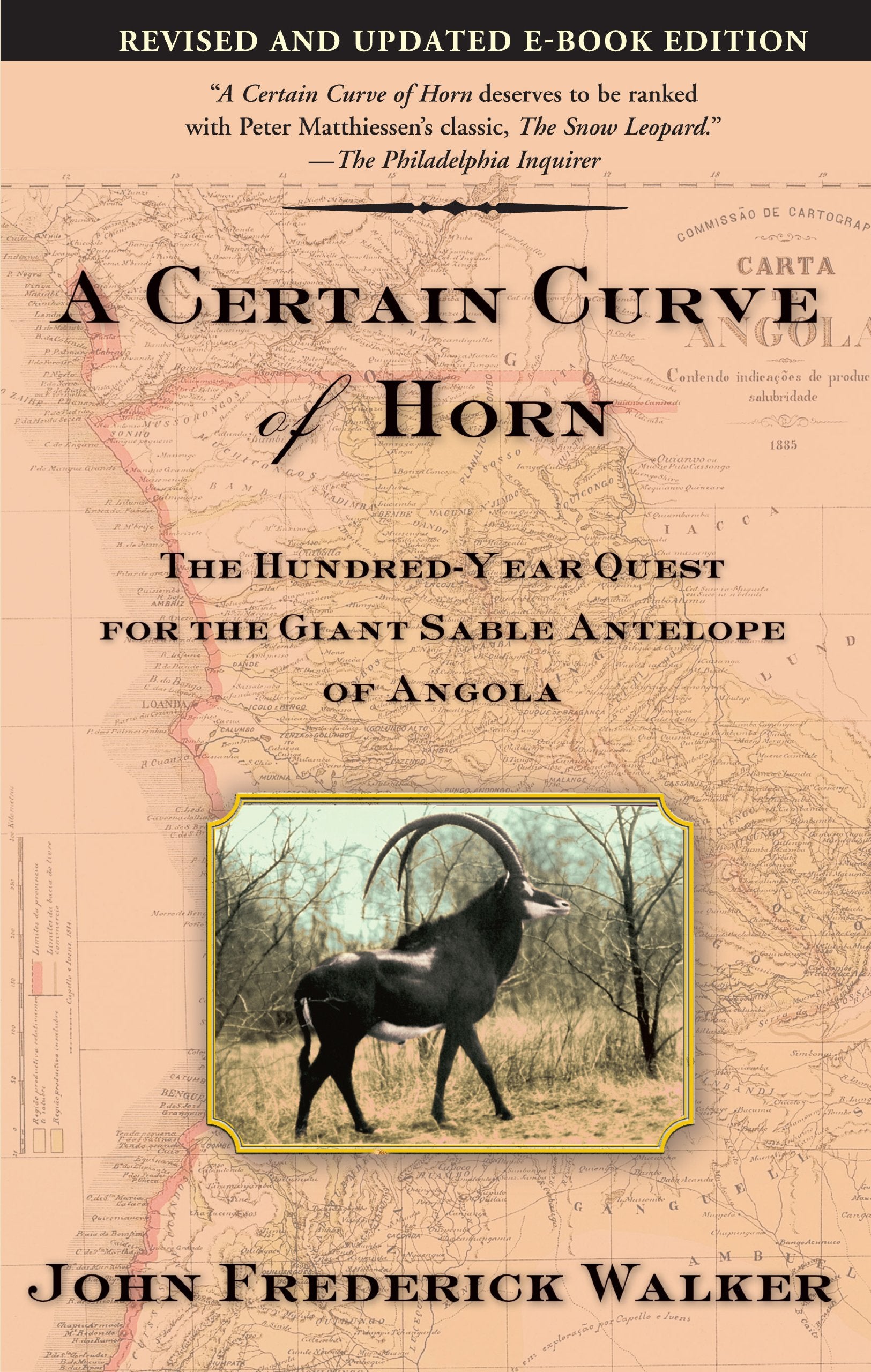 A Certain Curve of Horn: The HundredYear Quest for the Giant Sable Antelope of Angola