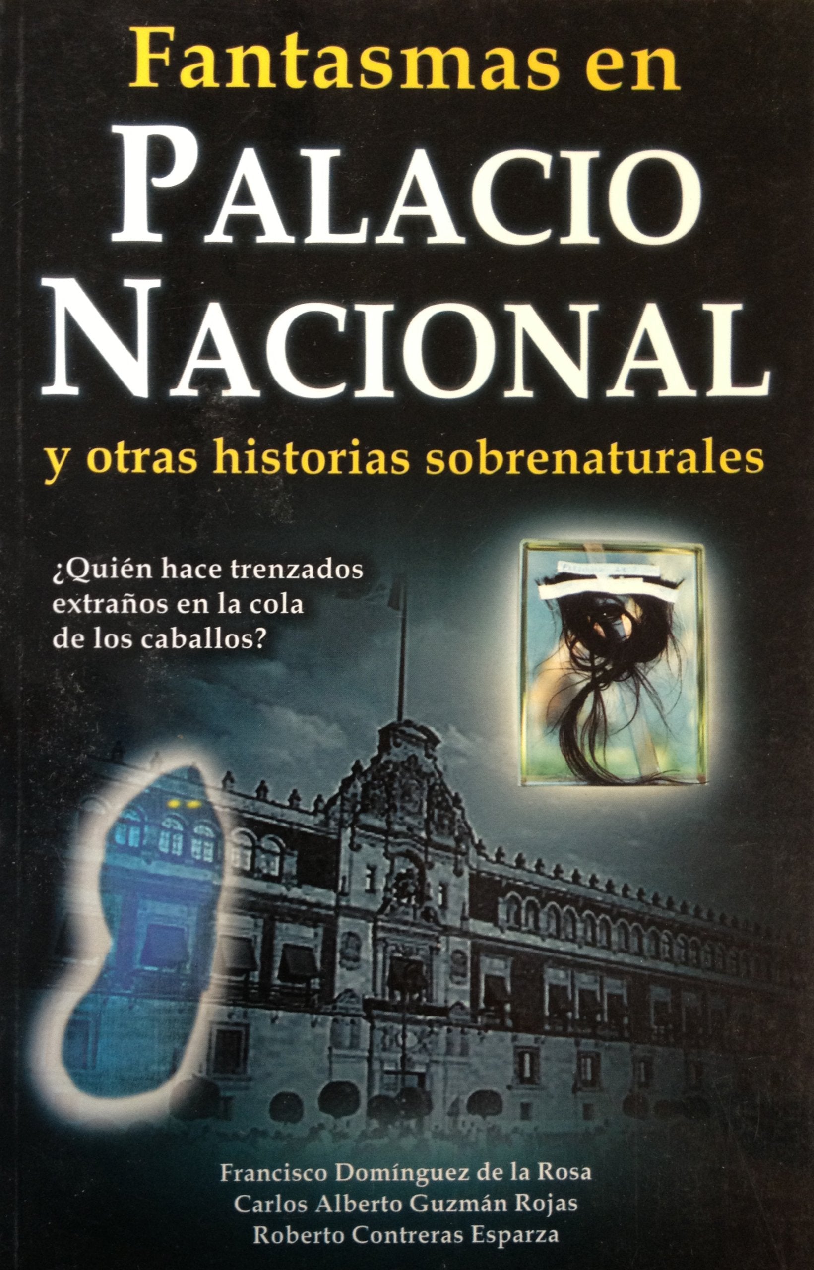 Fantasmas en el Palacio Nacional (Spanish Edition),Used