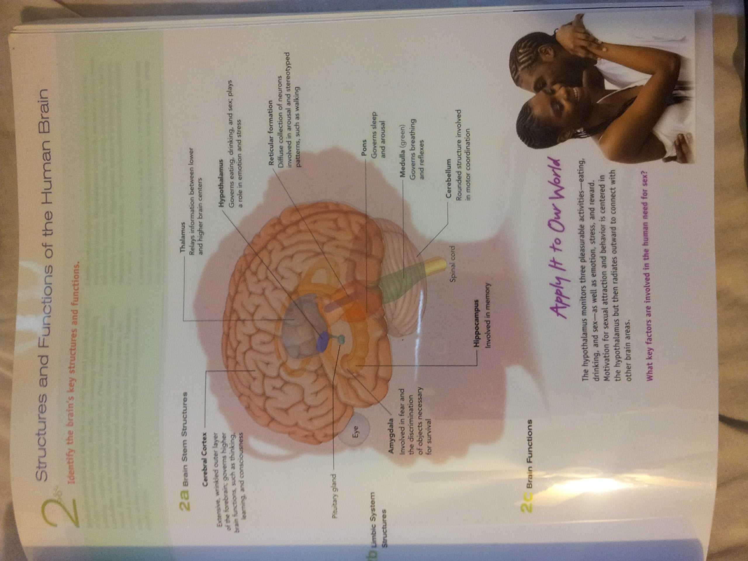 Experience Psychology,Used