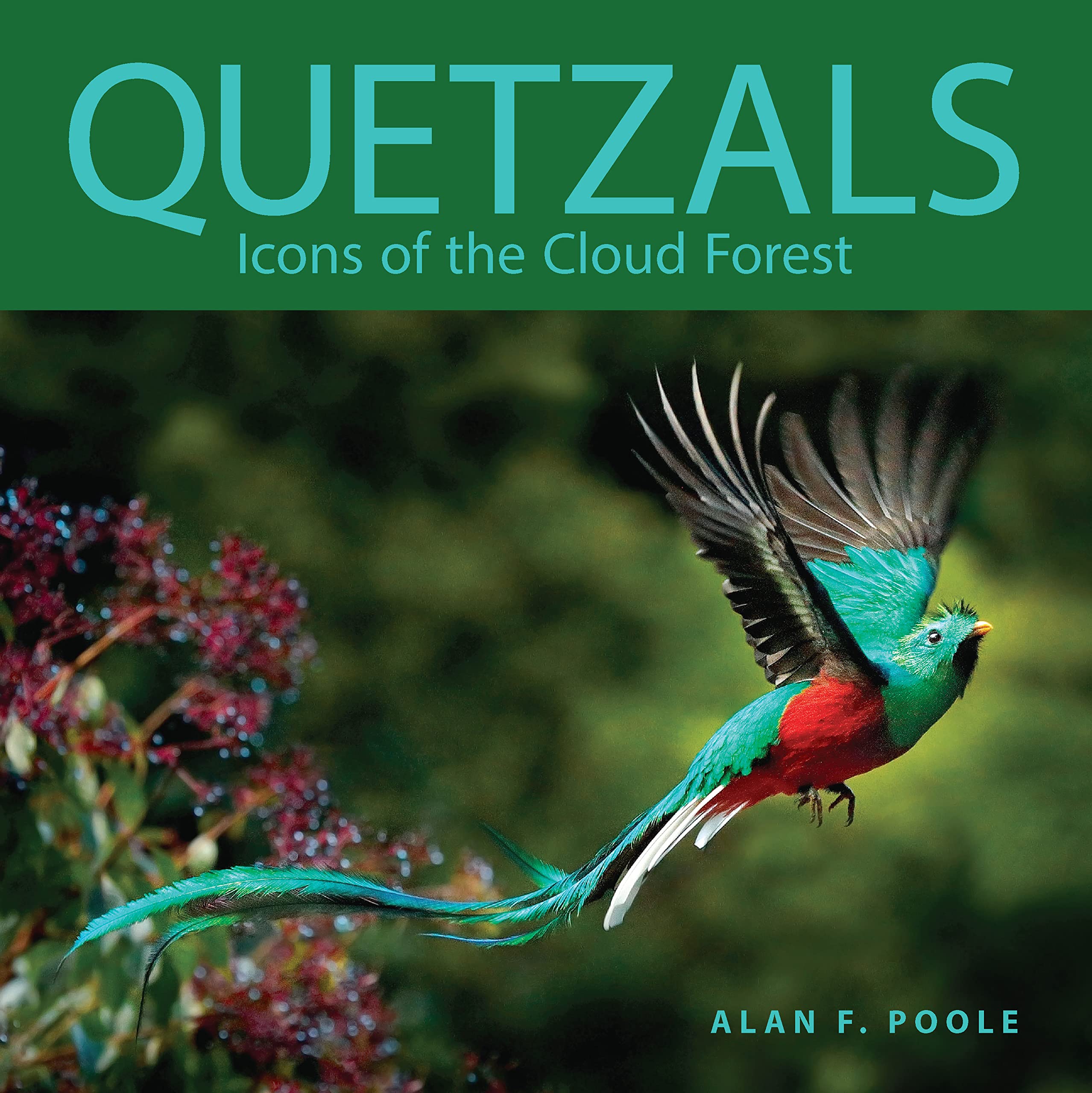 Quetzals: Icons Of The Cloud Forest (Zona Tropical Publications),Used