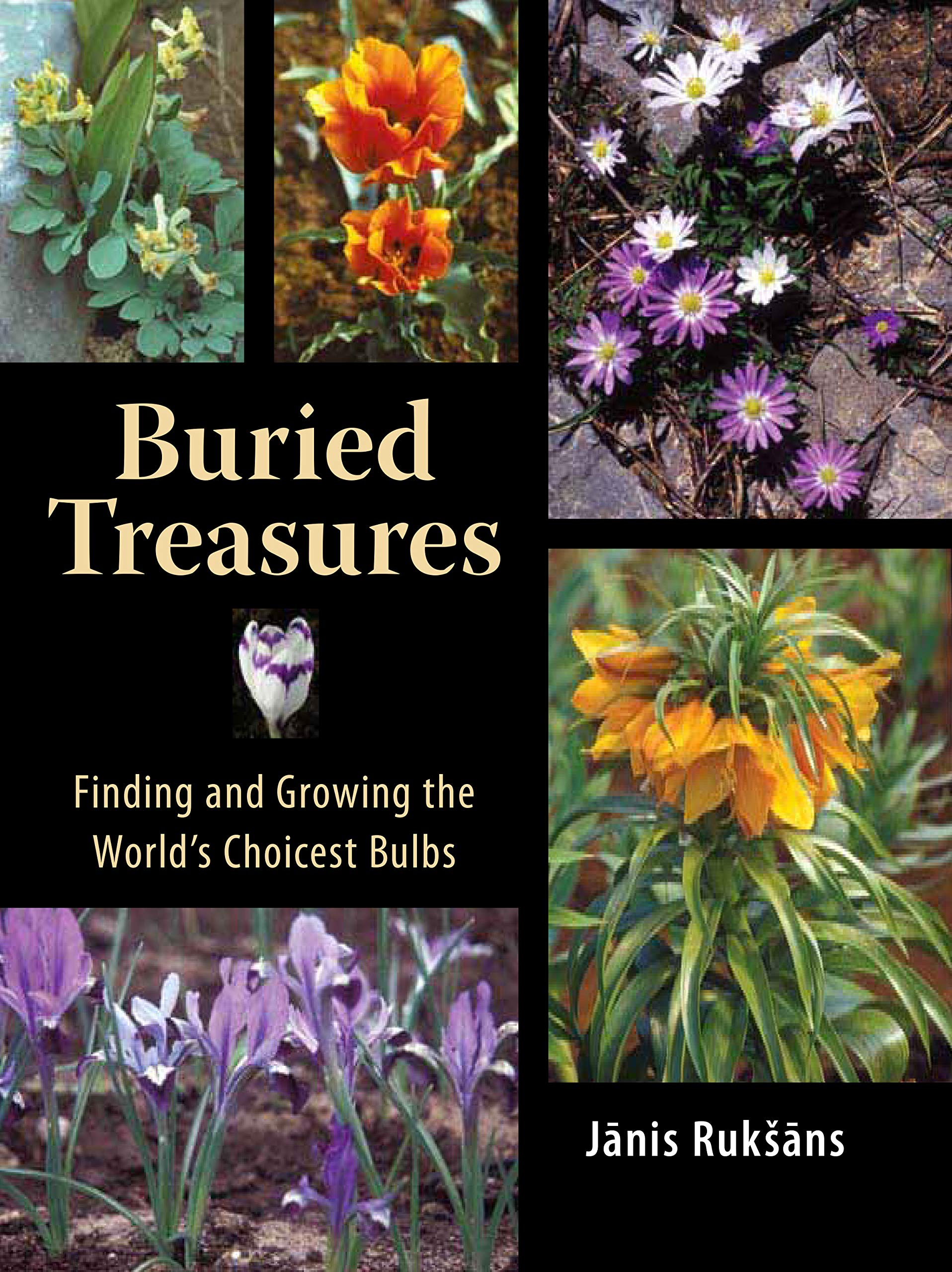 Buried Treasures: Finding and Growing the World's Choicest Bulbs,Used