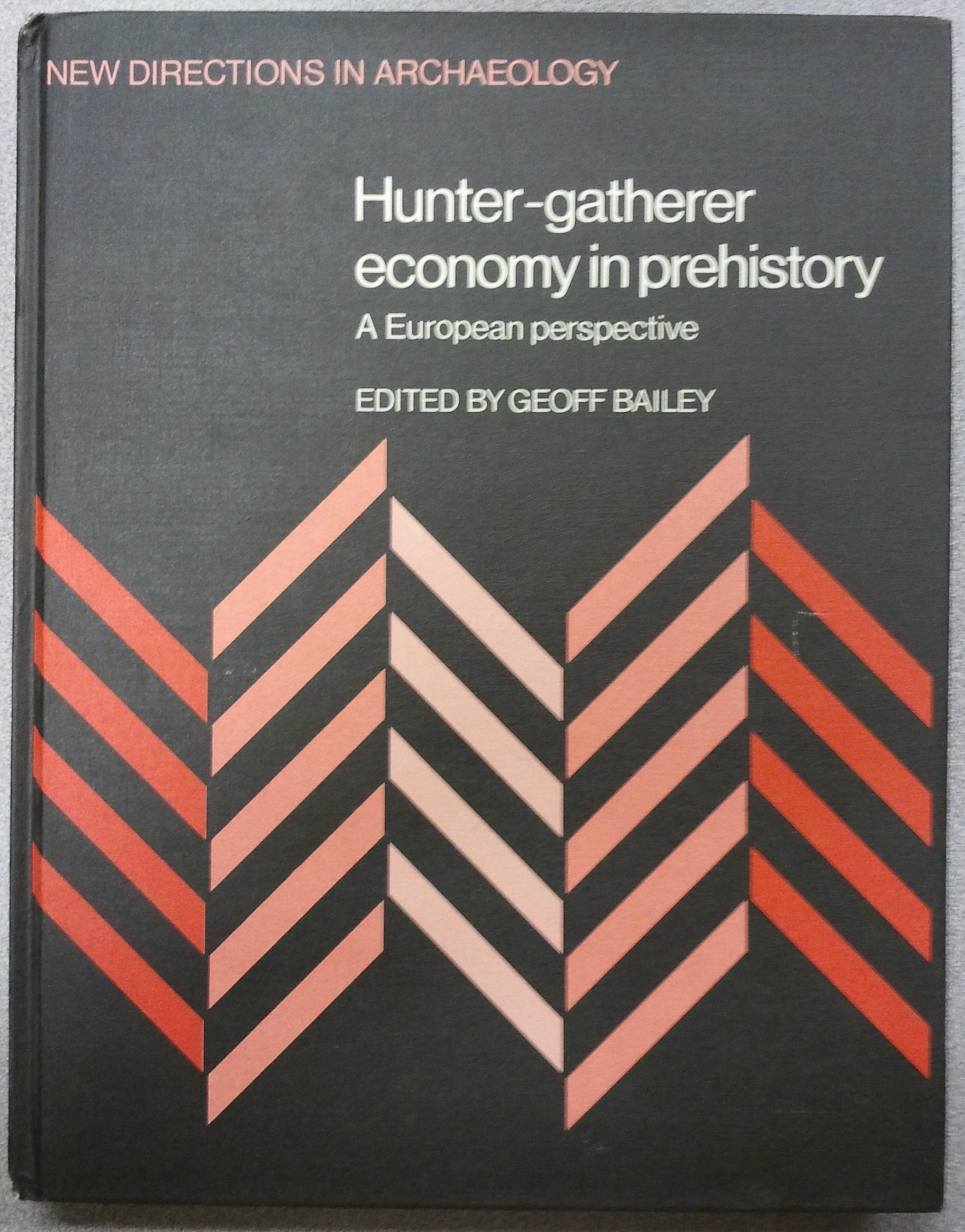 HunterGatherer Economy in Prehistory: A European Perspective (New Directions in Archaeology),Used