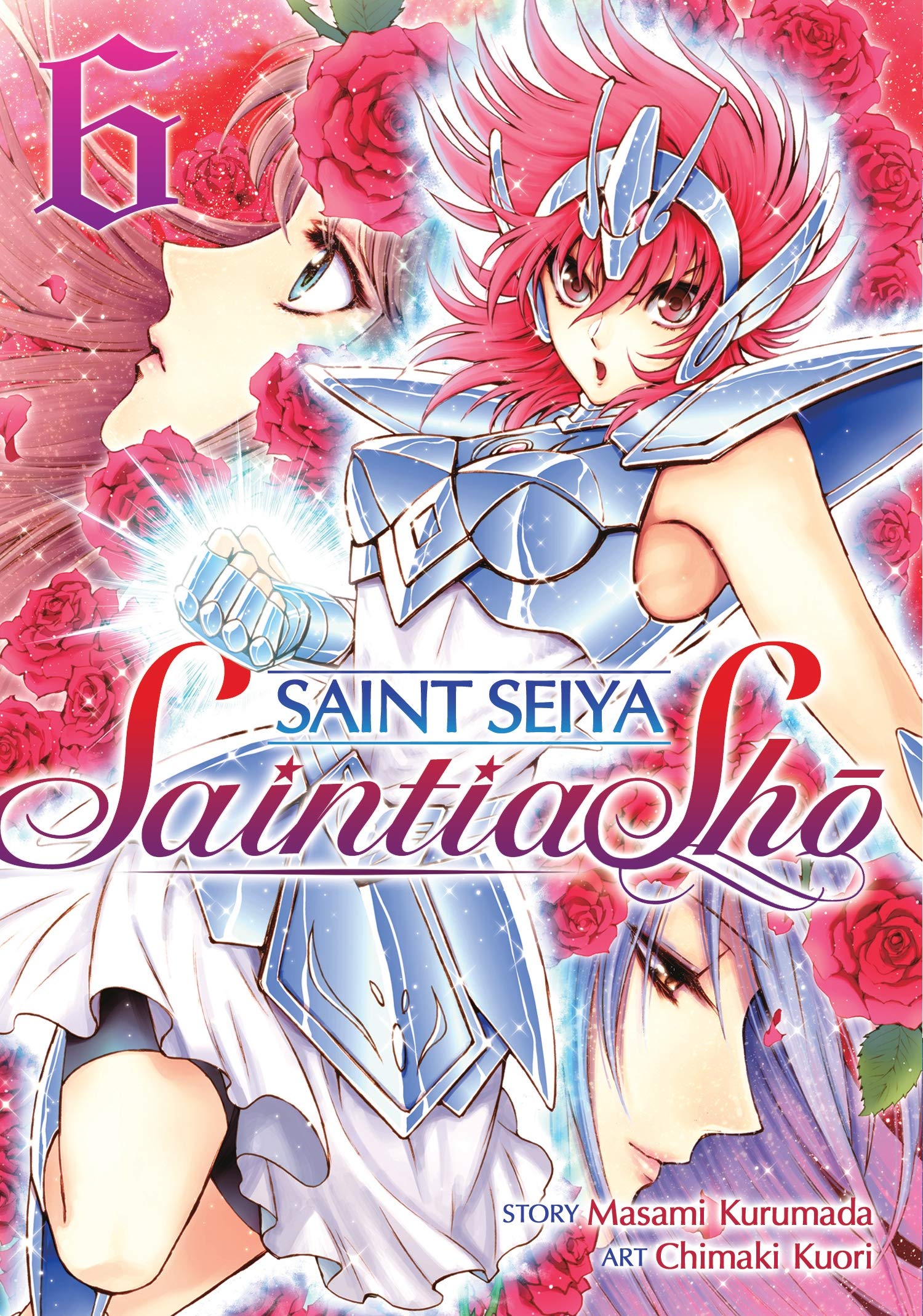 Saint Seiya: Saintia Sho Vol. 6,Used
