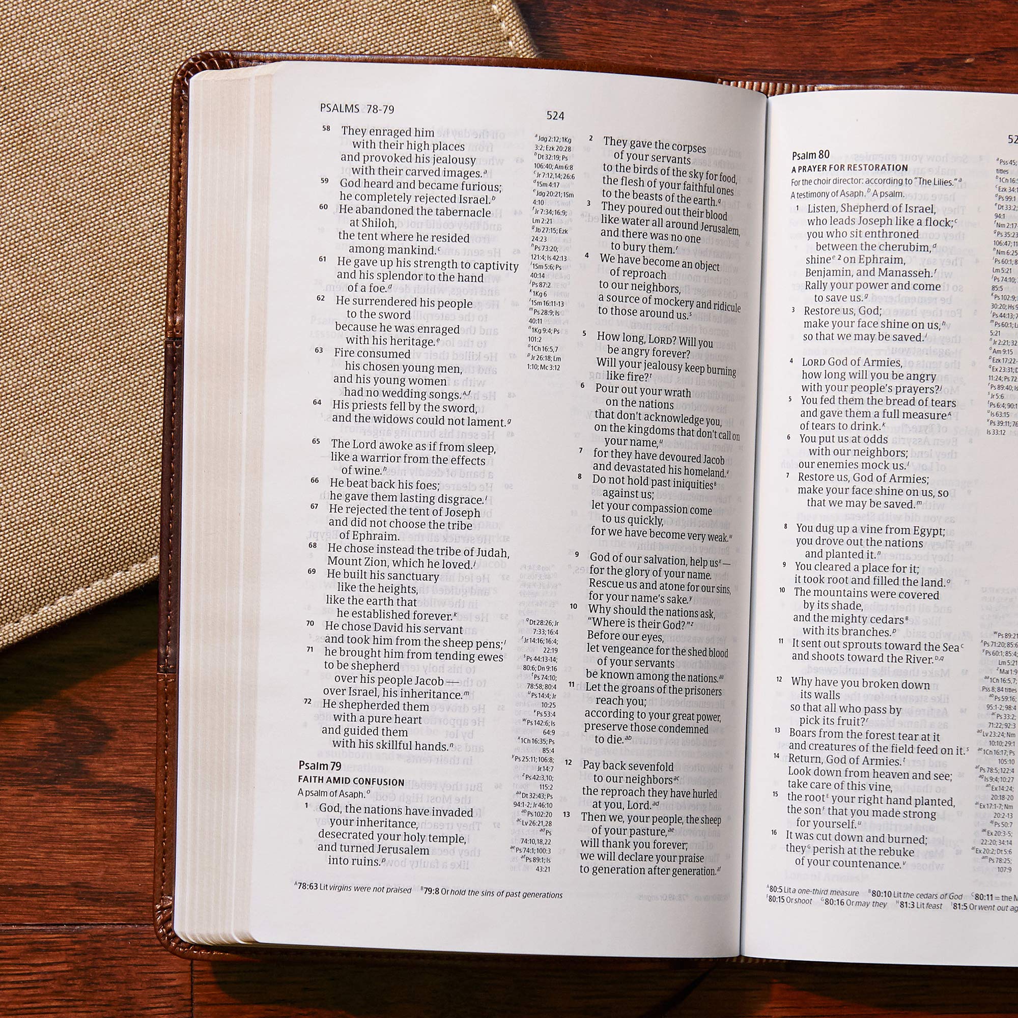 CSB Ultrathin Reference Bible, Saddle Brown LeatherTouch,Used