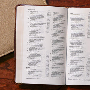 CSB Ultrathin Reference Bible, Saddle Brown LeatherTouch,Used