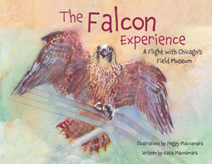 The Falcon Experience: A Flight With ChicagoS Field Museum