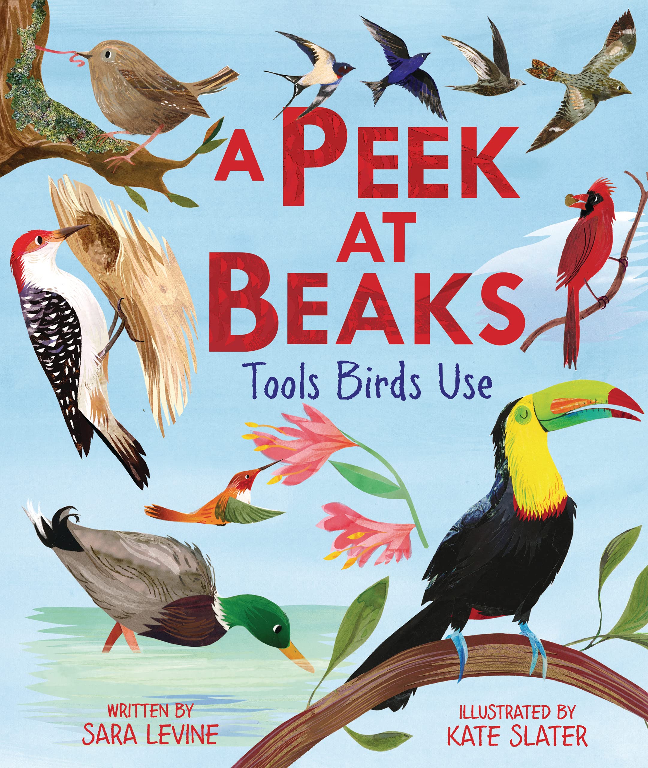 A Peek At Beaks: Tools Birds Use,Used