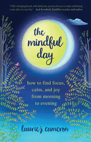 The Mindful Day: How to Find Focus, Calm, and Joy From Morning to Evening,Used
