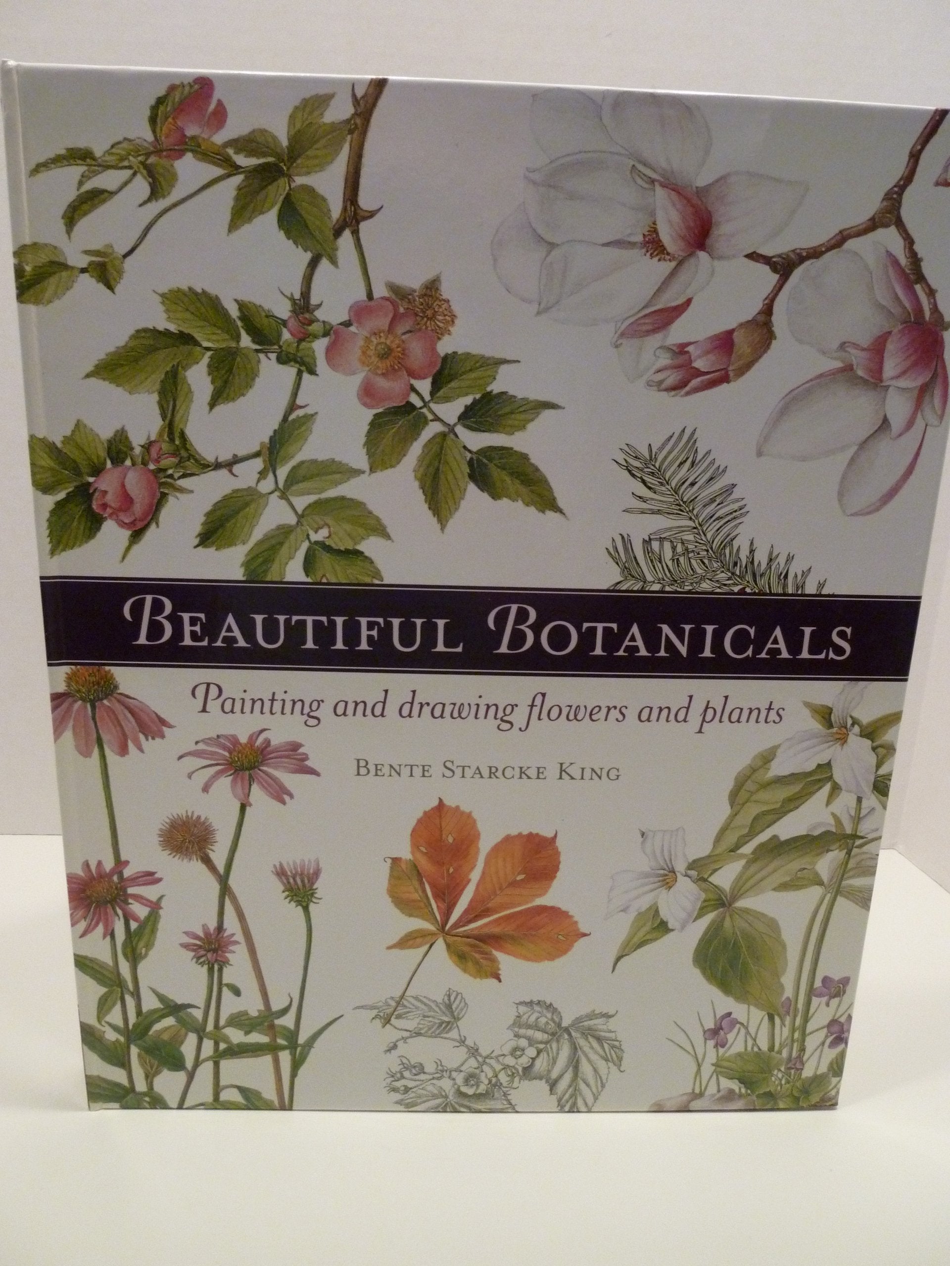 Beautiful Botanicals: Painting and Drawing Flowers and Plants,Used