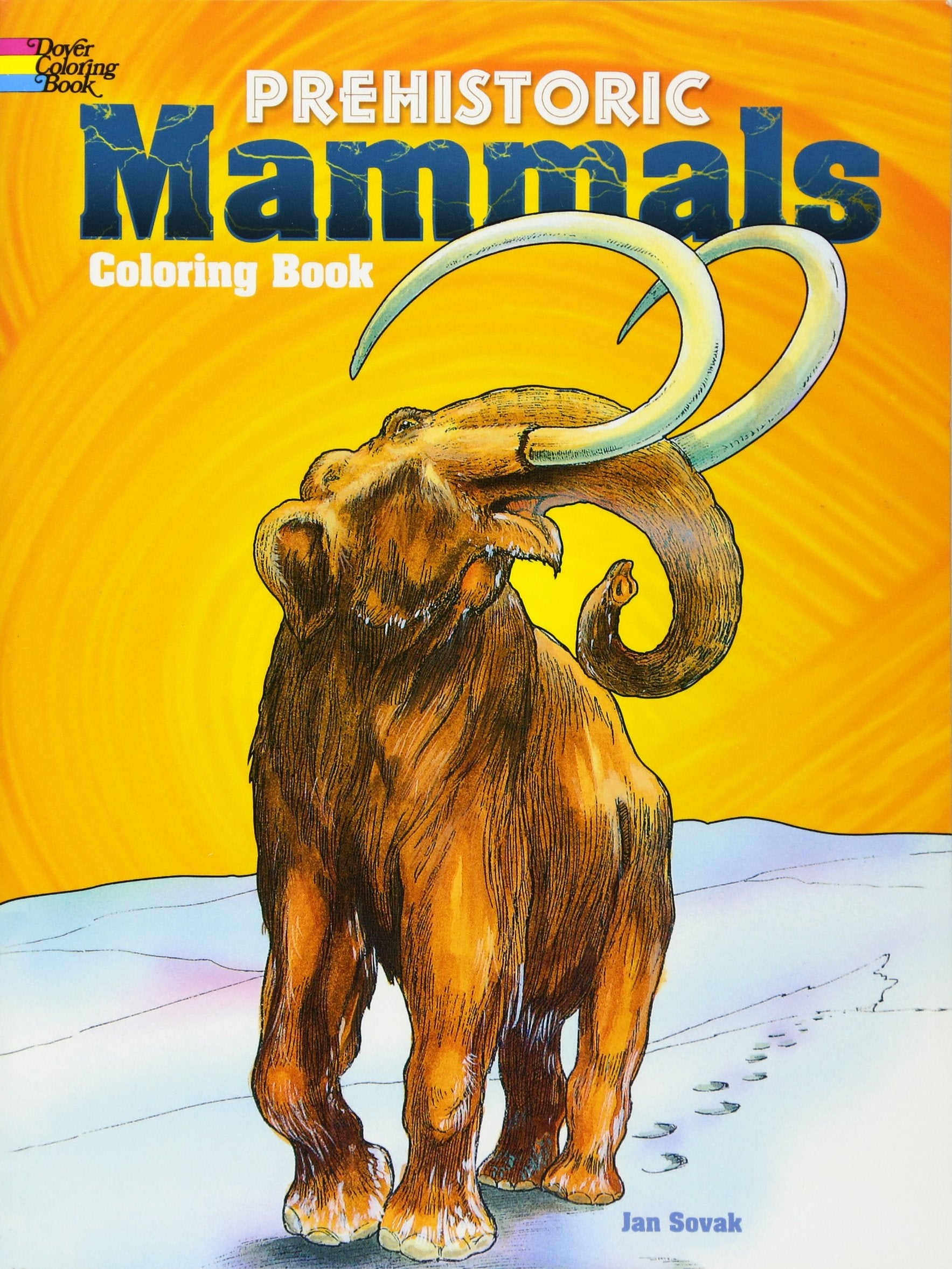Prehistoric Mammals Coloring Book,Used