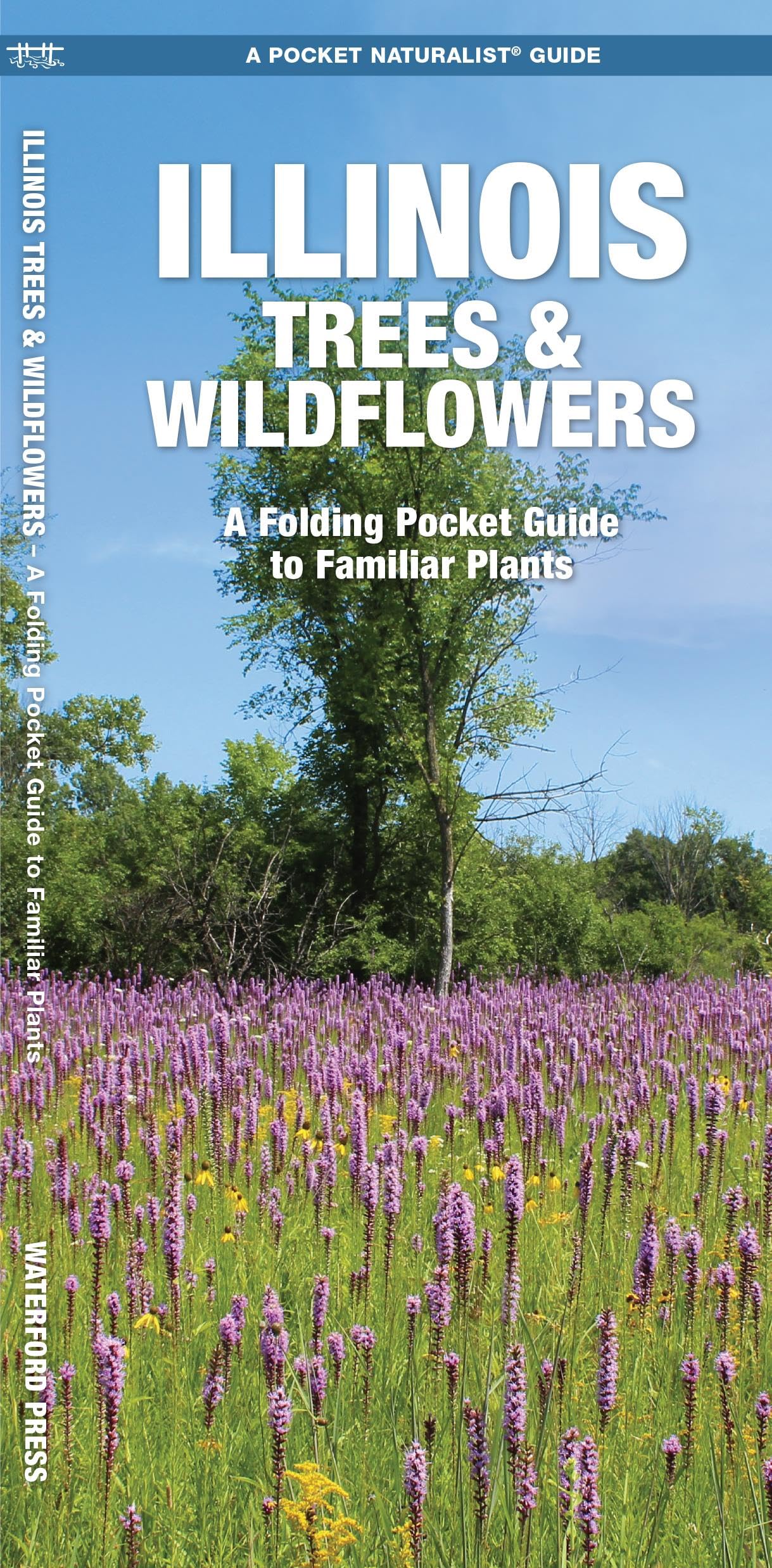 Illinois Trees & Wildflowers: A Folding Pocket Guide to Familiar Plants (Wildlife and Nature Identification),Used