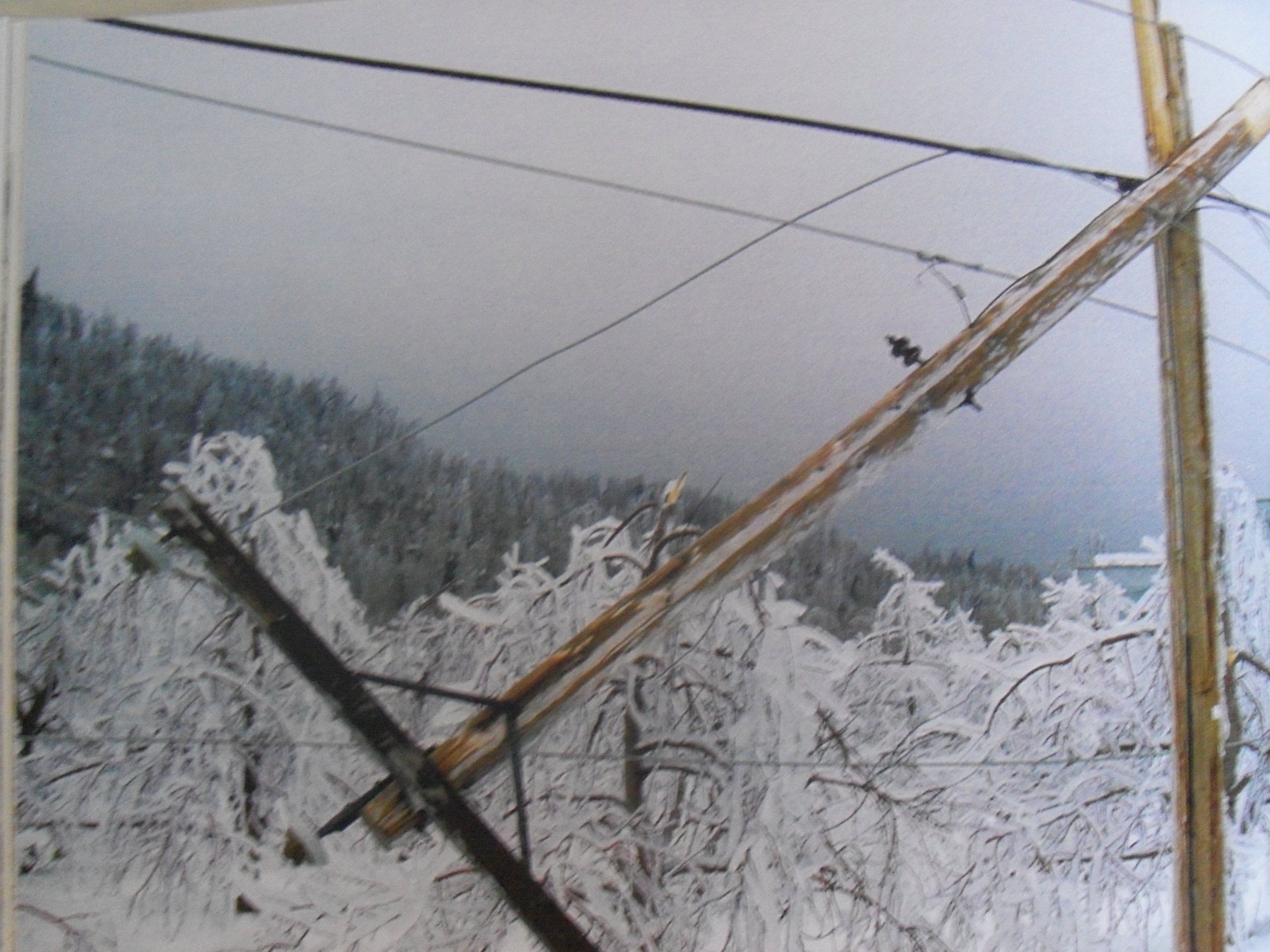 The Ice Storm: An Historic Record in Photographs of January 1998,Used