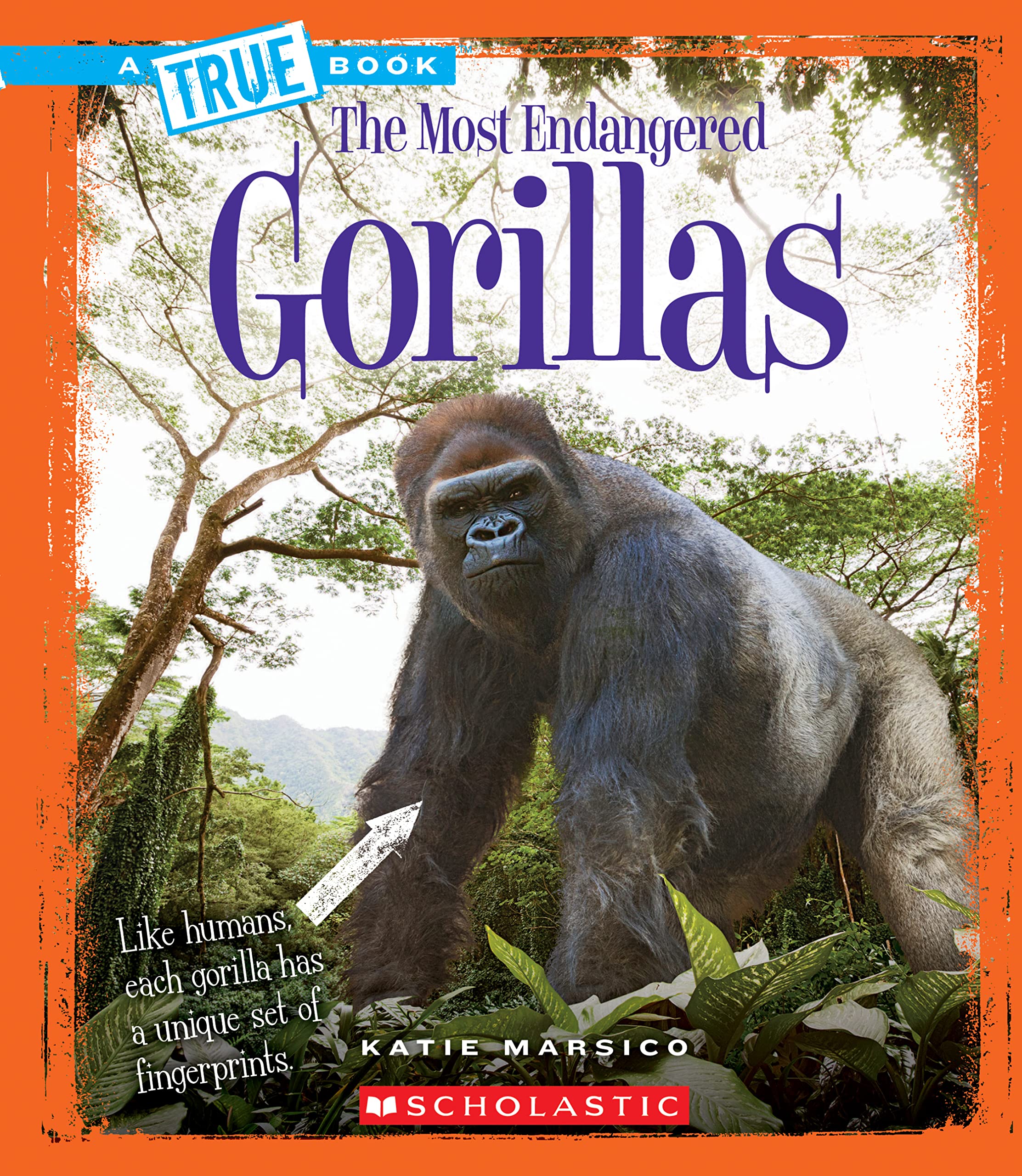 Gorillas (True Book: Most Endangered) (Library Edition) (A True Book: The Most Endangered),Used