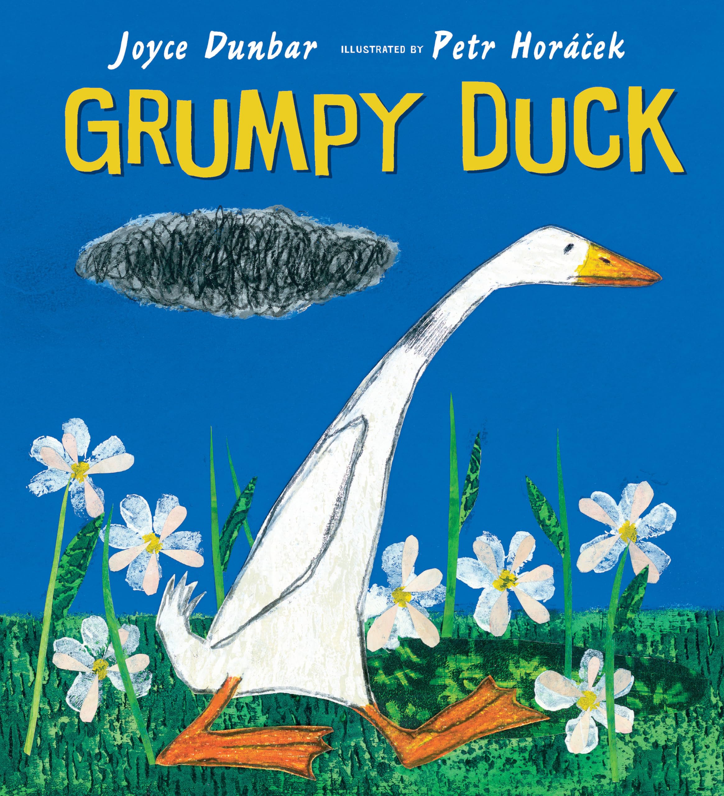 Grumpy Duck,Used