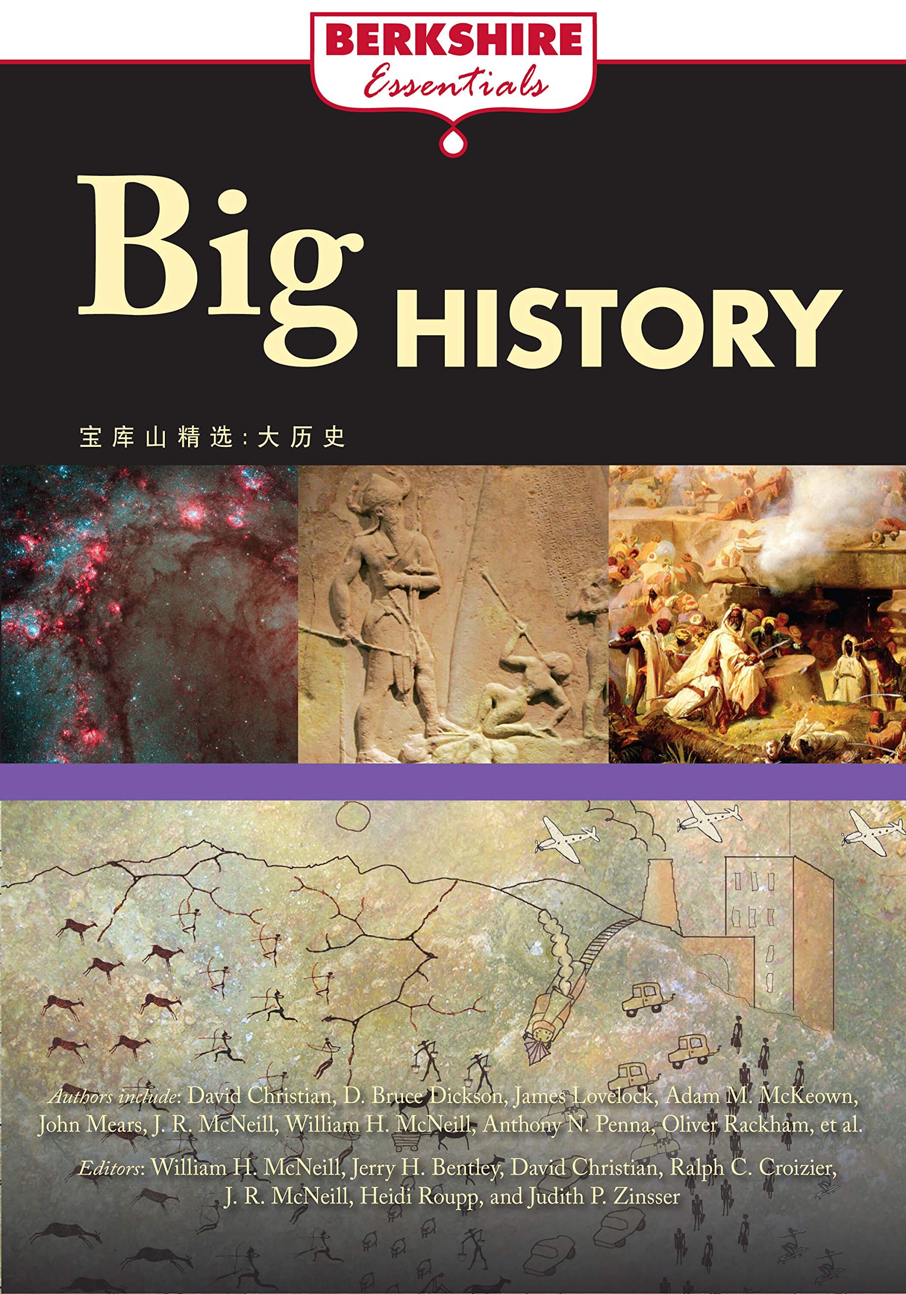 Big History (Berkshire Essentials),Used