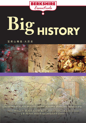 Big History (Berkshire Essentials),Used