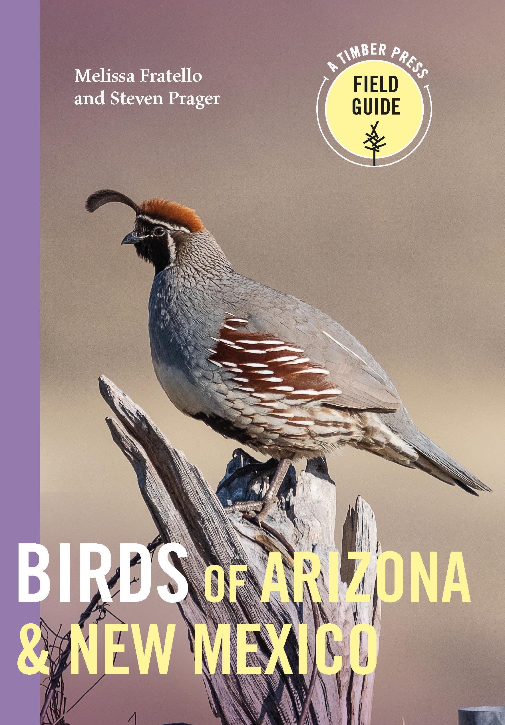 BIRDS OF ARIZONA & NEW MEXICO