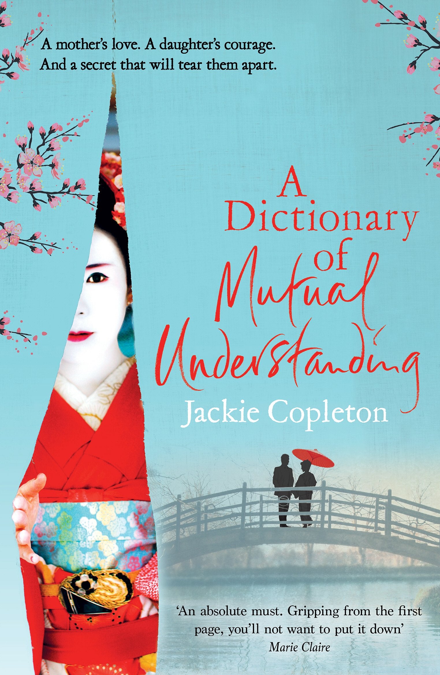A Dictionary of Mutual Understanding,Used