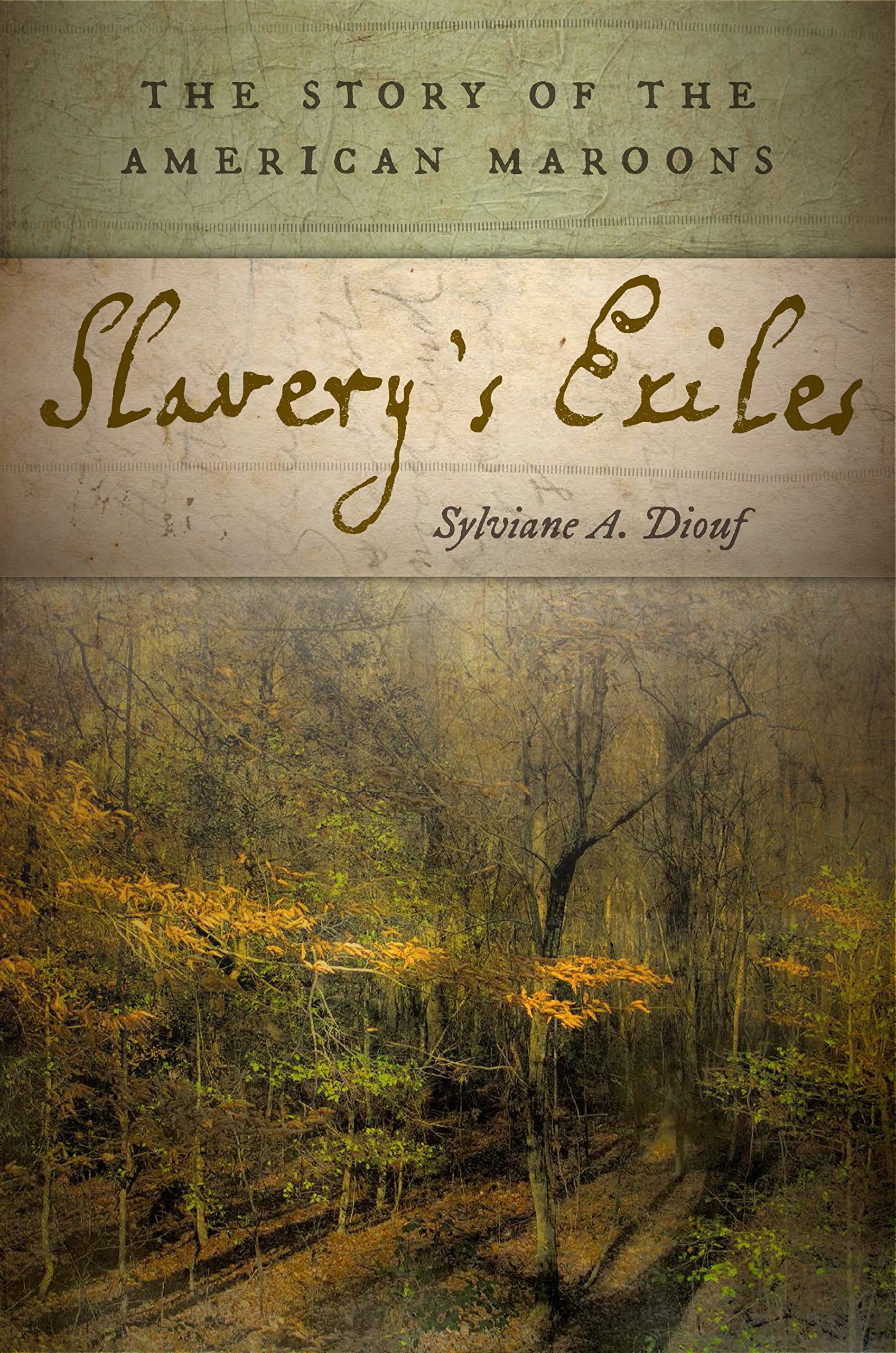 Slavery's Exiles: The Story of the American Maroons,Used