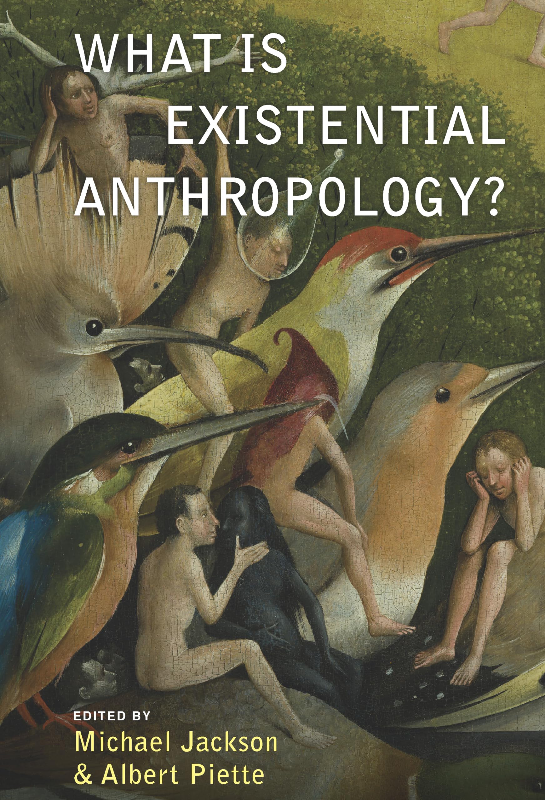 What Is Existential Anthropology?,Used