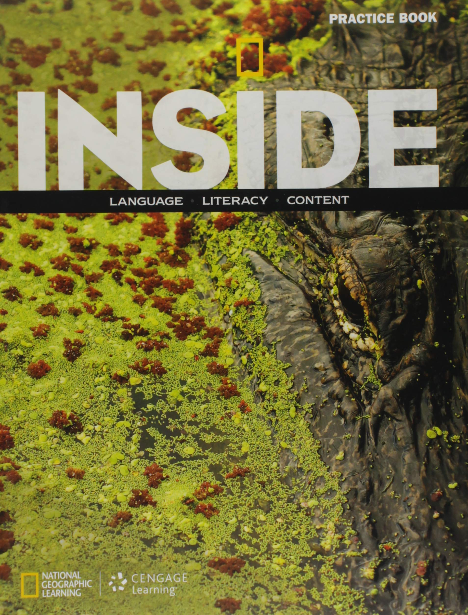 Inside 2014 B: Practice Book (Inside, Level B),Used