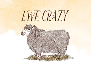 Have a Little Pun: An Illustrated Play on Words (Book of Puns, Pun Gifts, Punny Gifts),Used