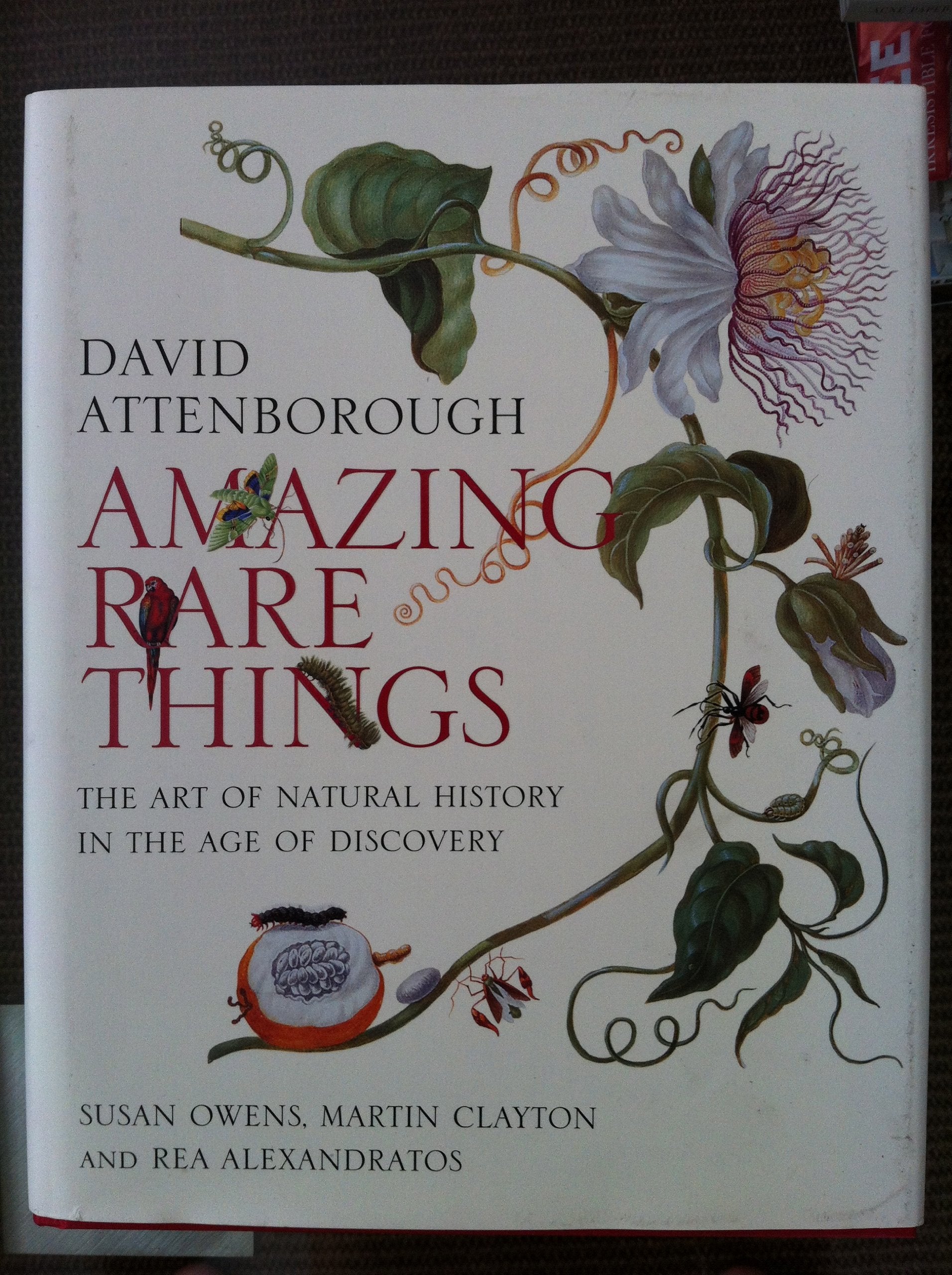 Amazing Rare Things /anglais,Used