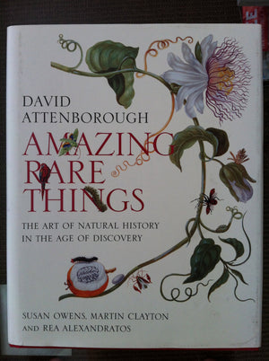 Amazing Rare Things /anglais,Used
