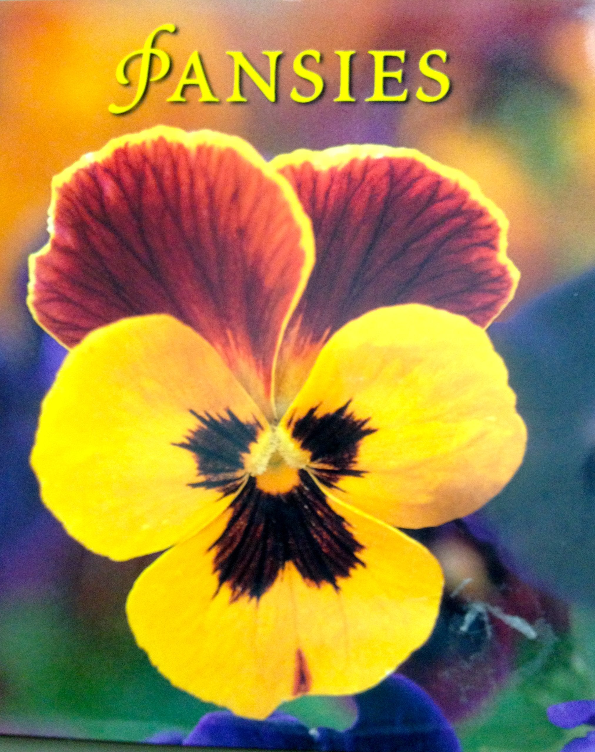 Pansies,Used