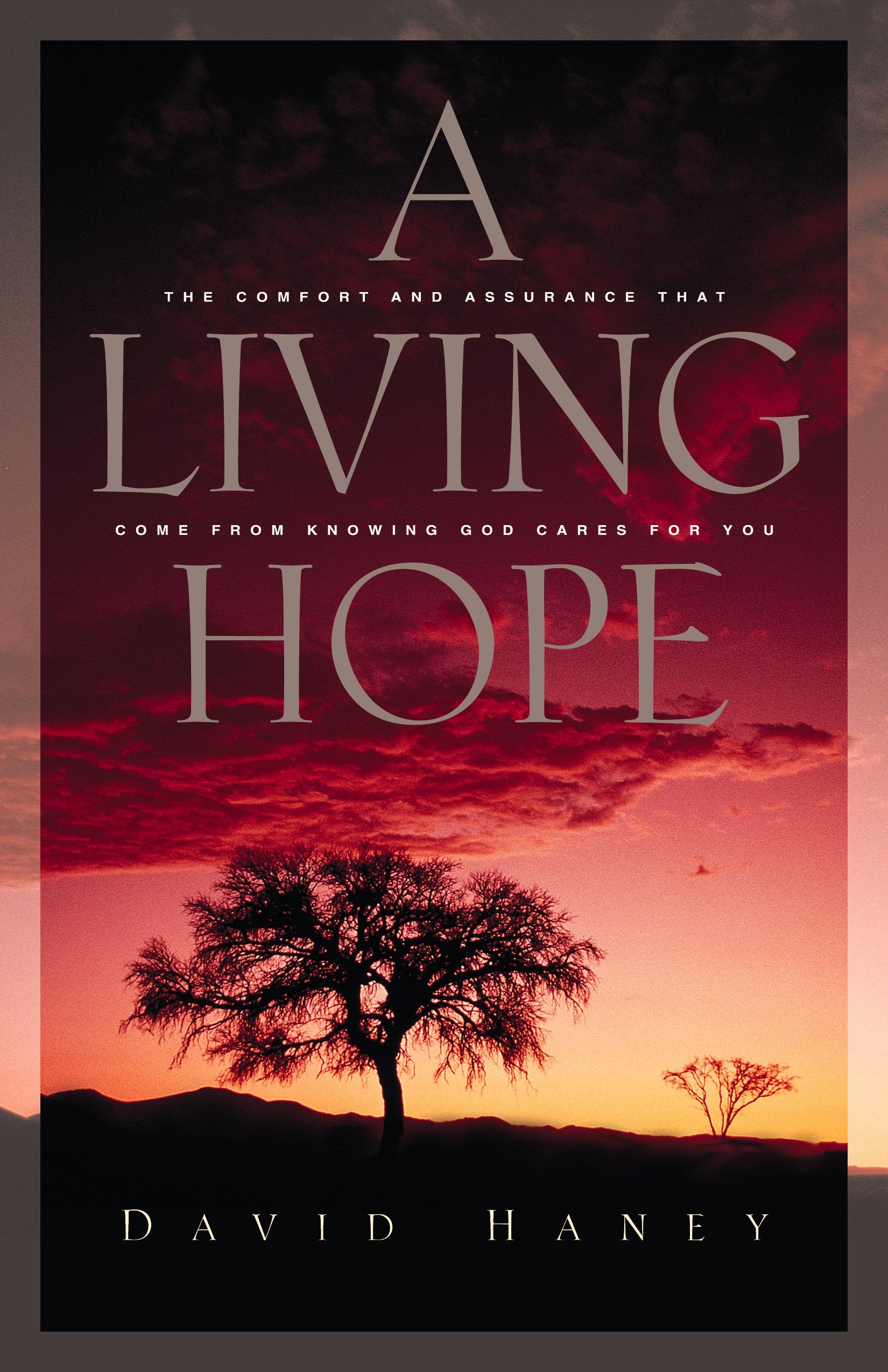 A Living Hope: The Comfort and Assurance That Come From Knowing God Cares For You,Used