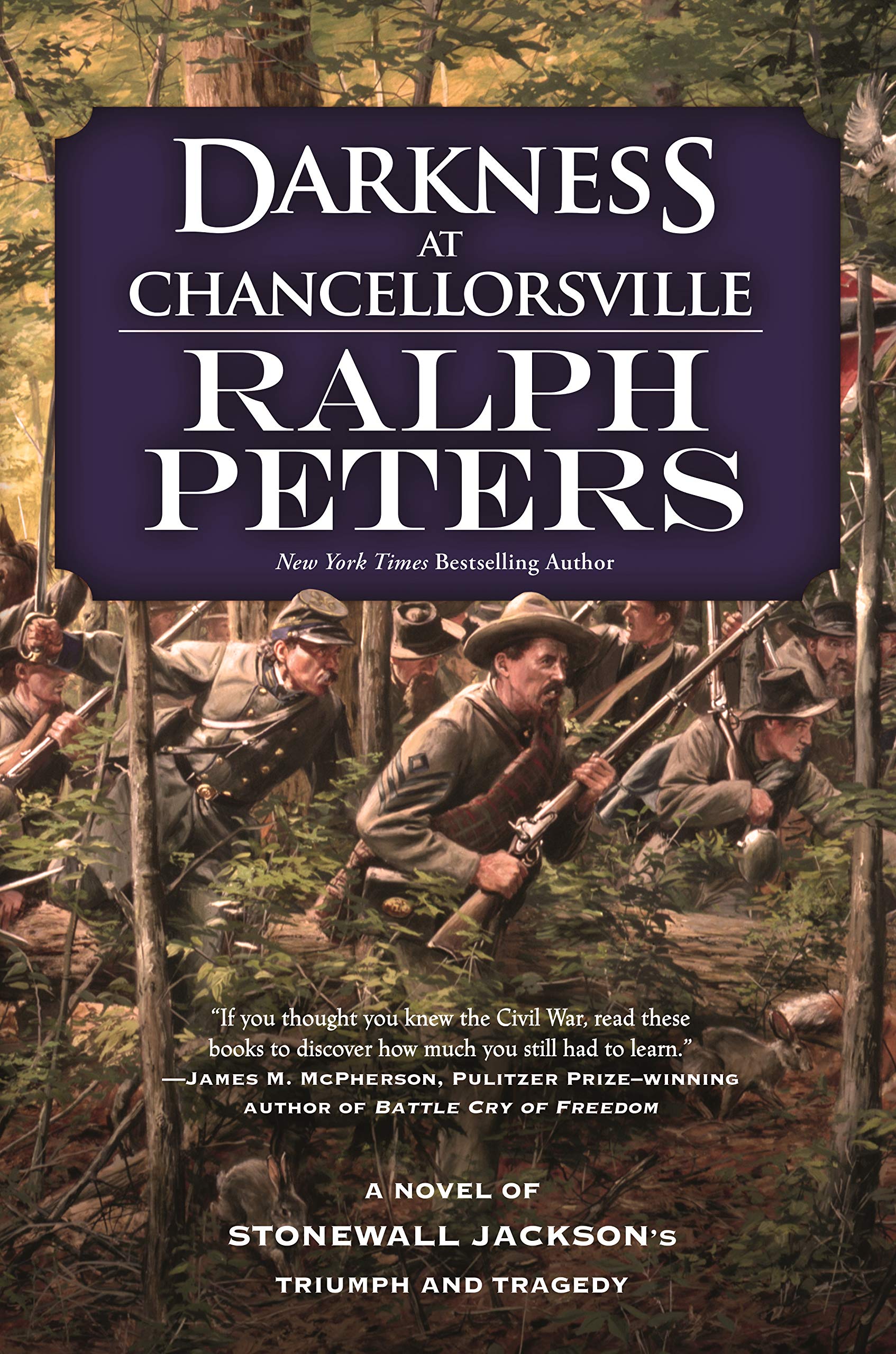Darkness At Chancellorsville: A Novel Of Stonewall Jackson'S Triumph And Tragedy