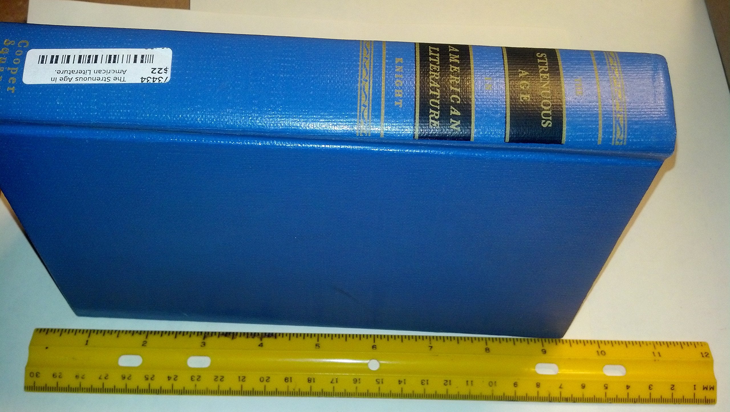 The Strenuous Age in American Literature,Used