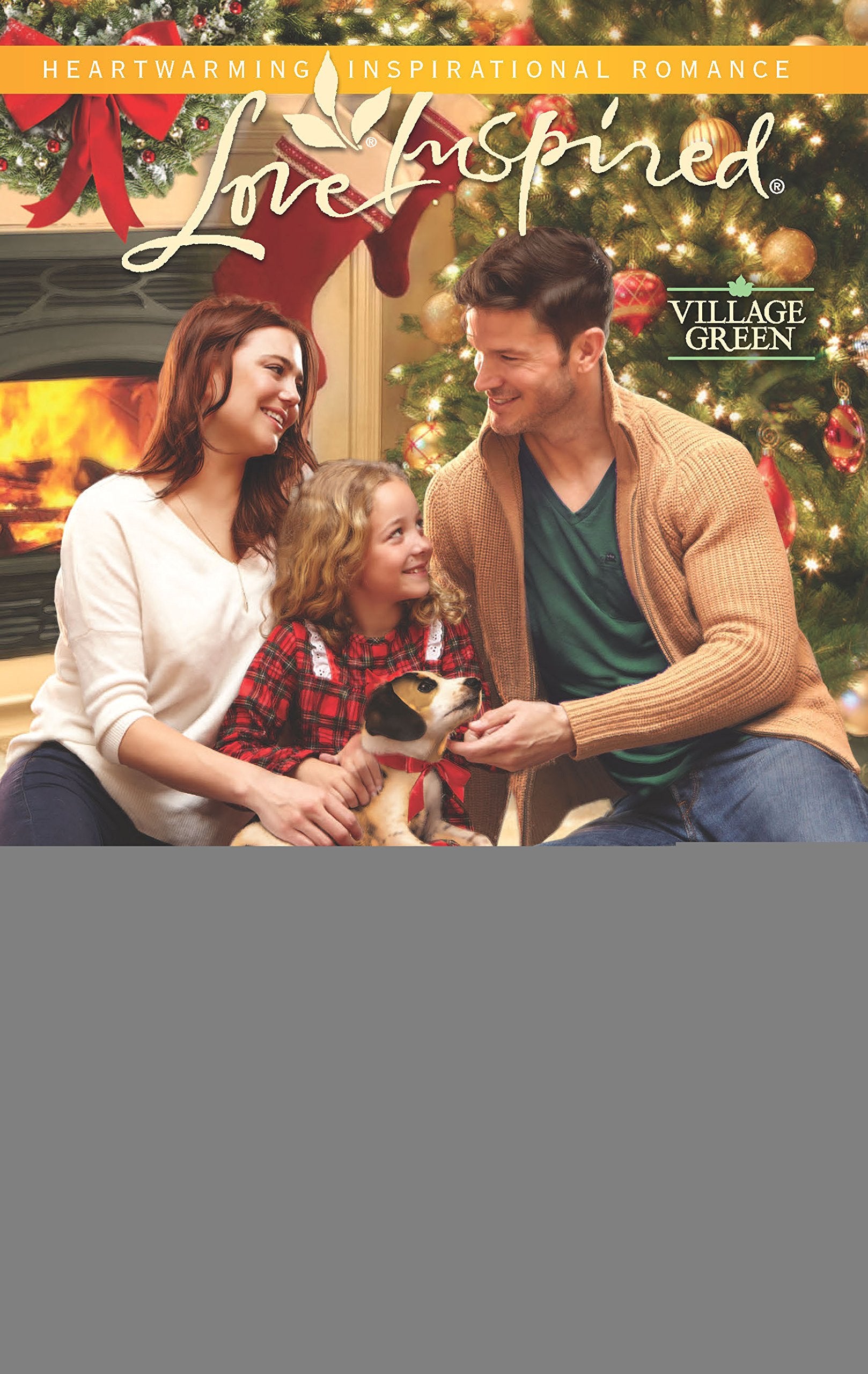 The Doctor's Christmas Wish (Village Green, 2),Used