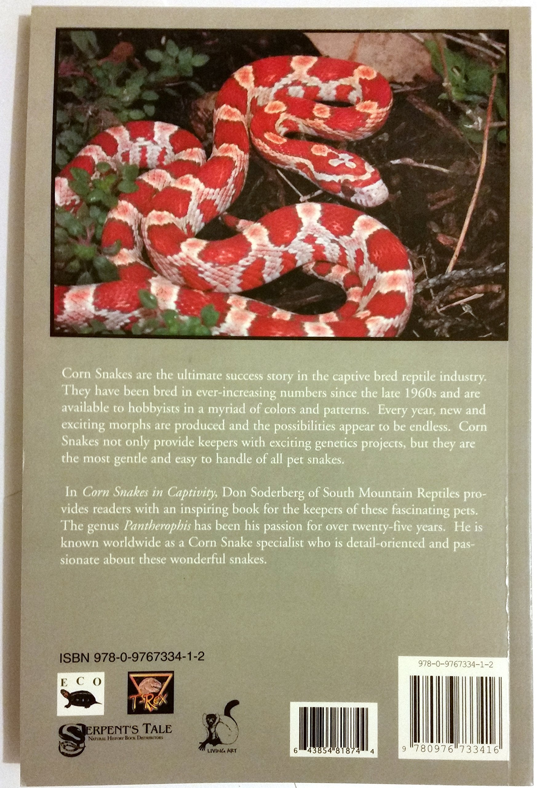 Corn Snakes In Captivity (Professional Breeders Series),New
