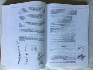 The Plants Of Pennsylvania: An Illustrated Manual,Used