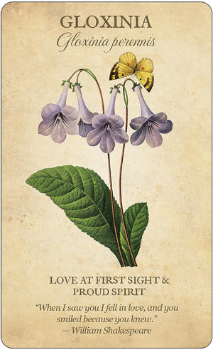 Botanical Inspirations Deck & Book Set,New