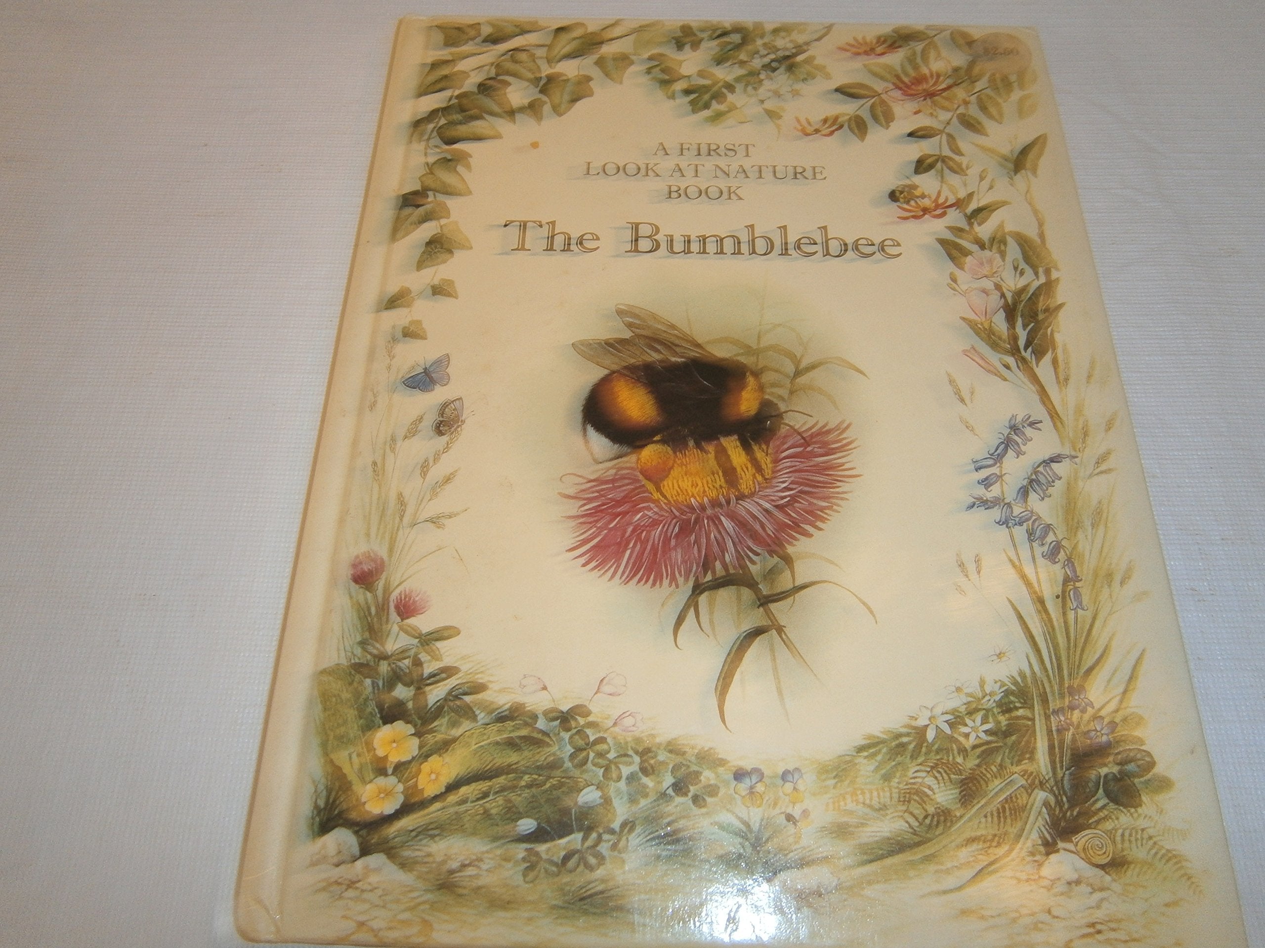 Bumblebee (First Look at Nature),Used