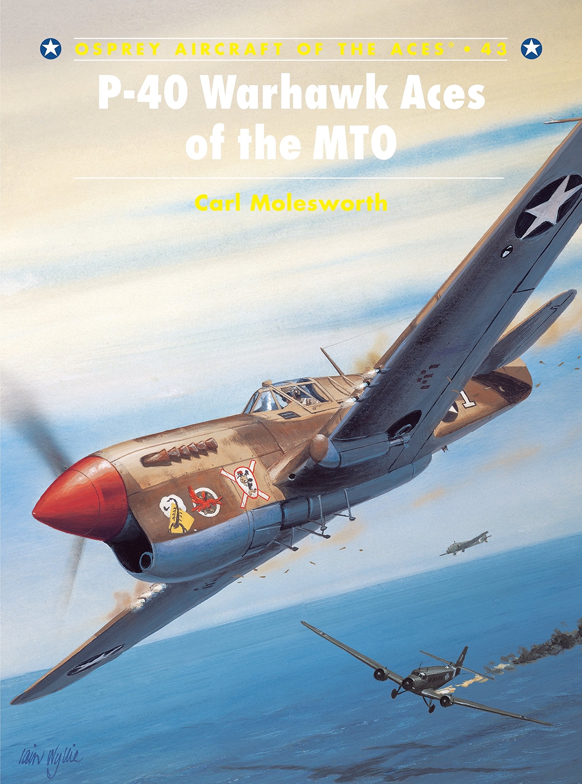 P40 Warhawk Aces of the MTO (Osprey Aircraft of the Aces No 43) (Aircraft of the Aces, 43),New