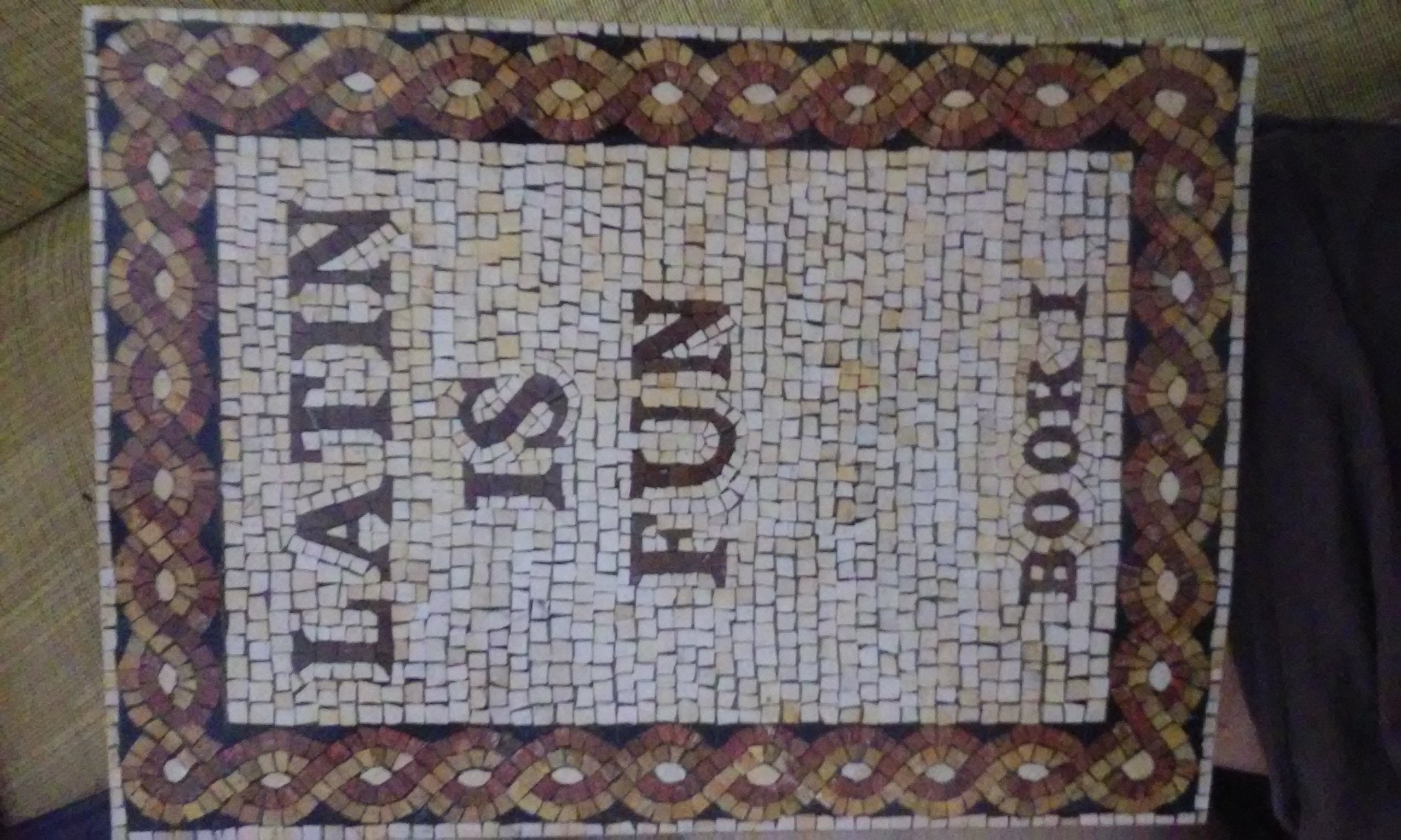 Latin Is Fun, Book 1,New